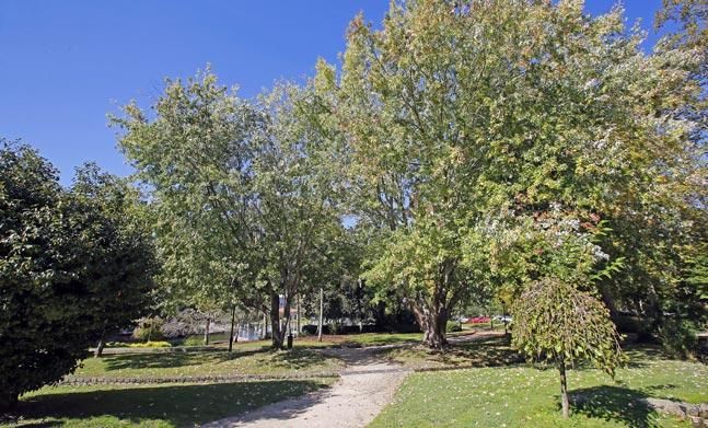 El Parque de Castrelos se muda con las estaciones