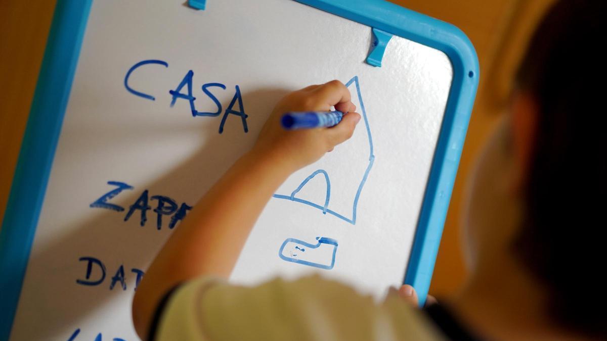 Las carencias de la escuela inclusiva: ocho de cada diez familias con hijos con discapacidad intelectual pagan de su bolsillo la falta de apoyos públicos
