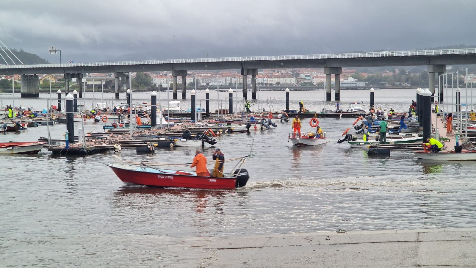 Así es el día a día en el puerto y la lonja de O Testal (Noia), donde cada vez se dan cita más mariscadores arousanos.