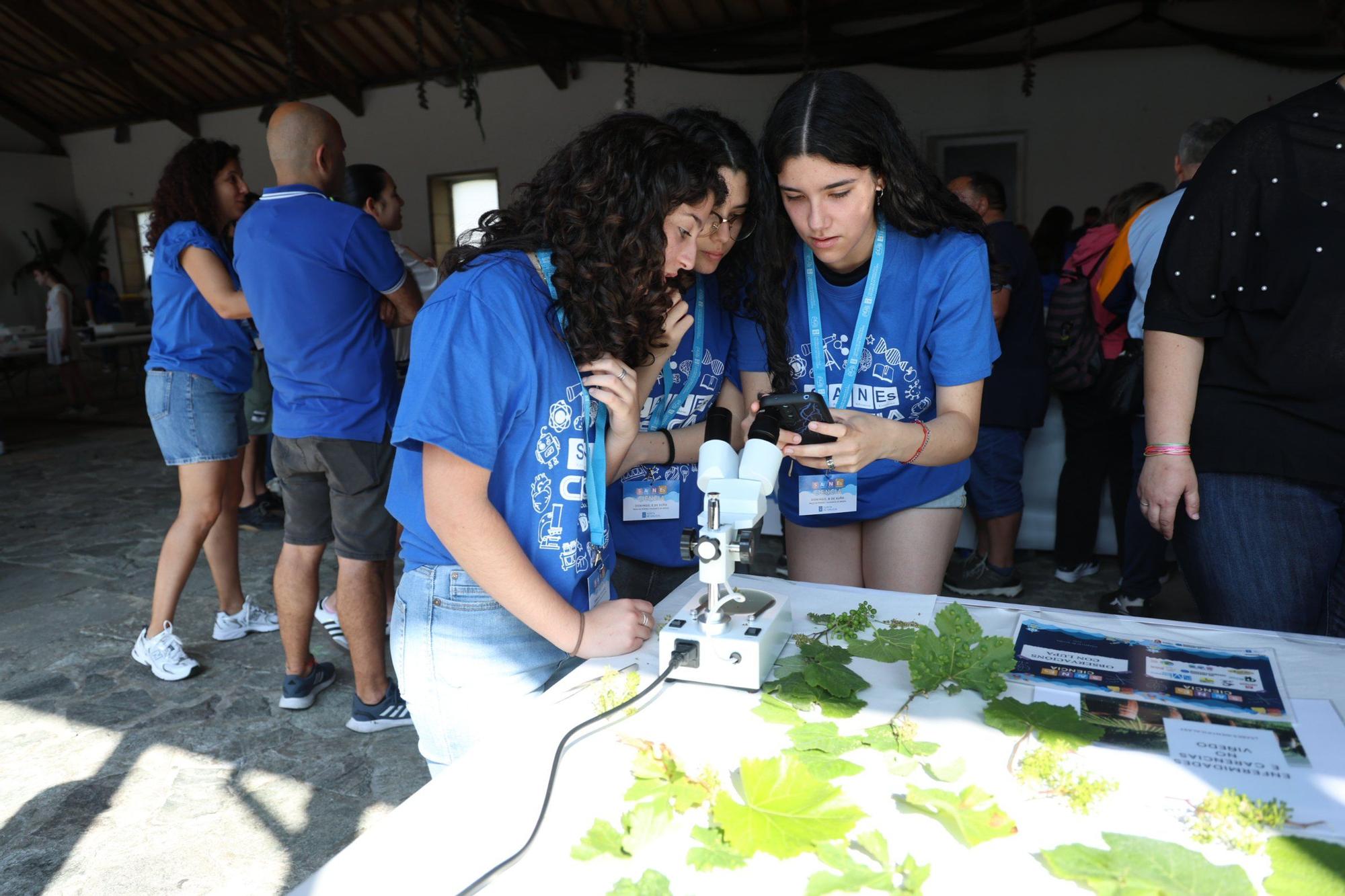 La feria Salnés Ciencia, celebrada esta mañana en la plaza de A Peixería (Vilagarcía).