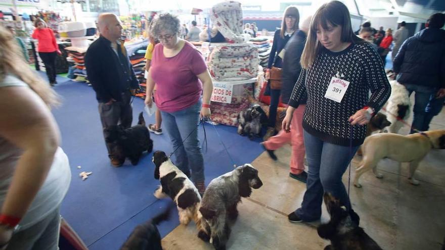 Asistentes a la feria Principets, ayer, en el pabellón de La Magdalena.