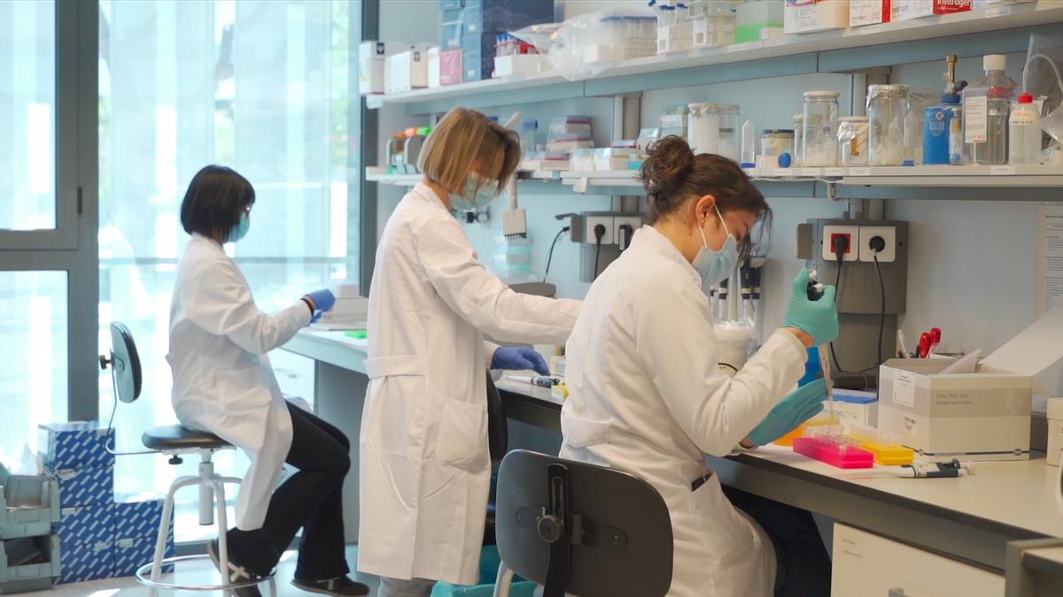 Un laboratori de biotecnologia