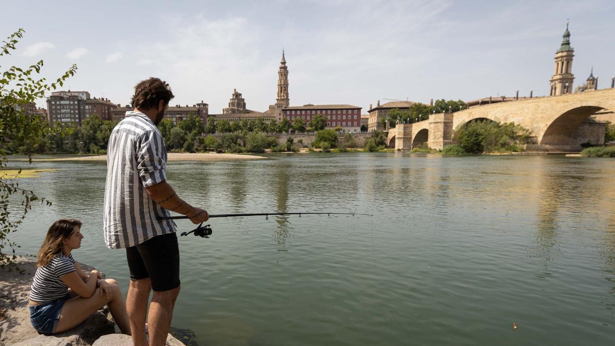 Pescadores en la orilla del Ebro, esta semana en Zaragoza.