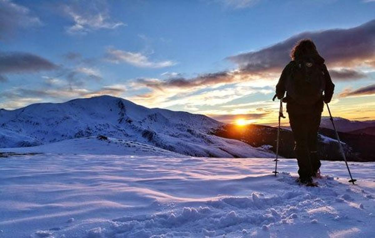 Nieve