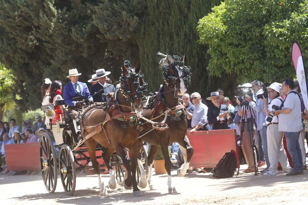 Exhibición de carruajes de tradición en El Arenal