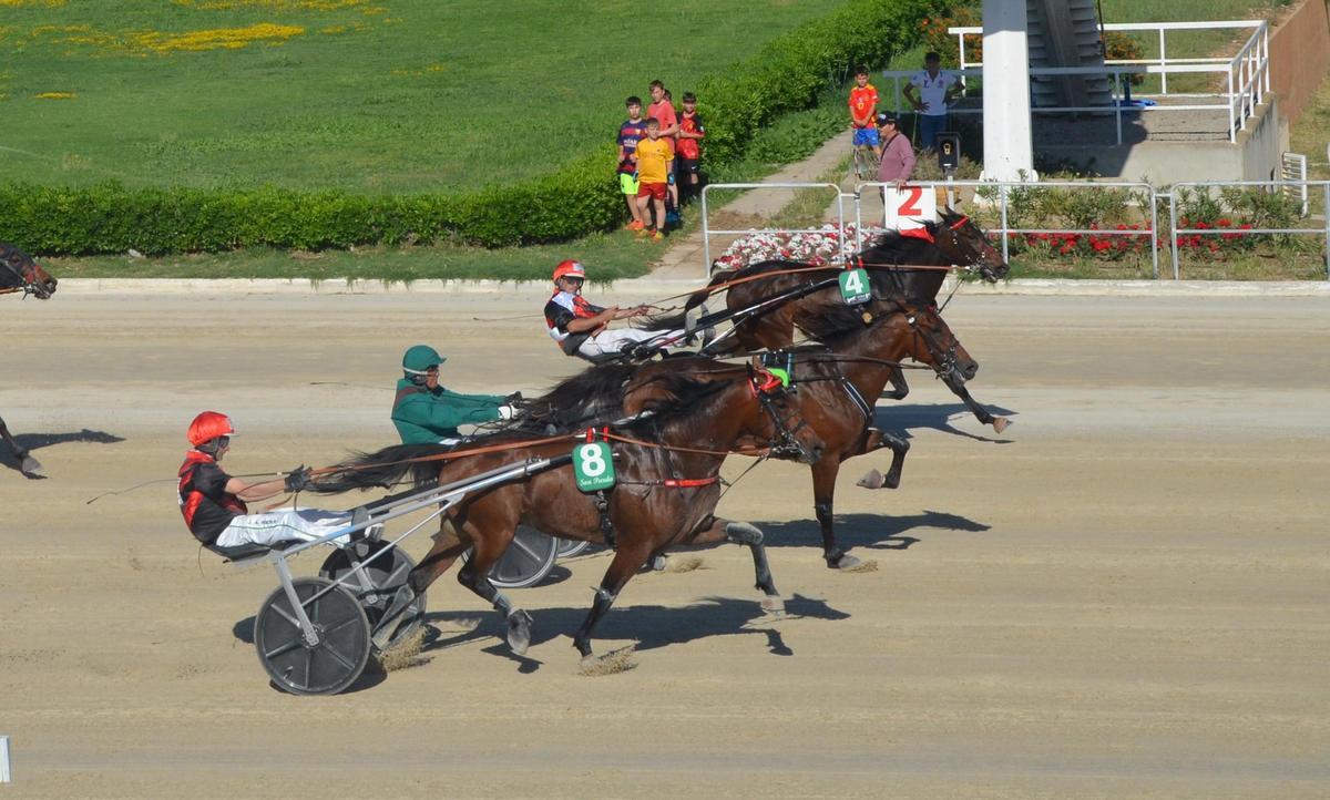 Miguel, por el centro, en su triunfo en el ‘Premi Mira Prim’, entre Miss Blaugrana Mar (4) yMagic Mar (8)
