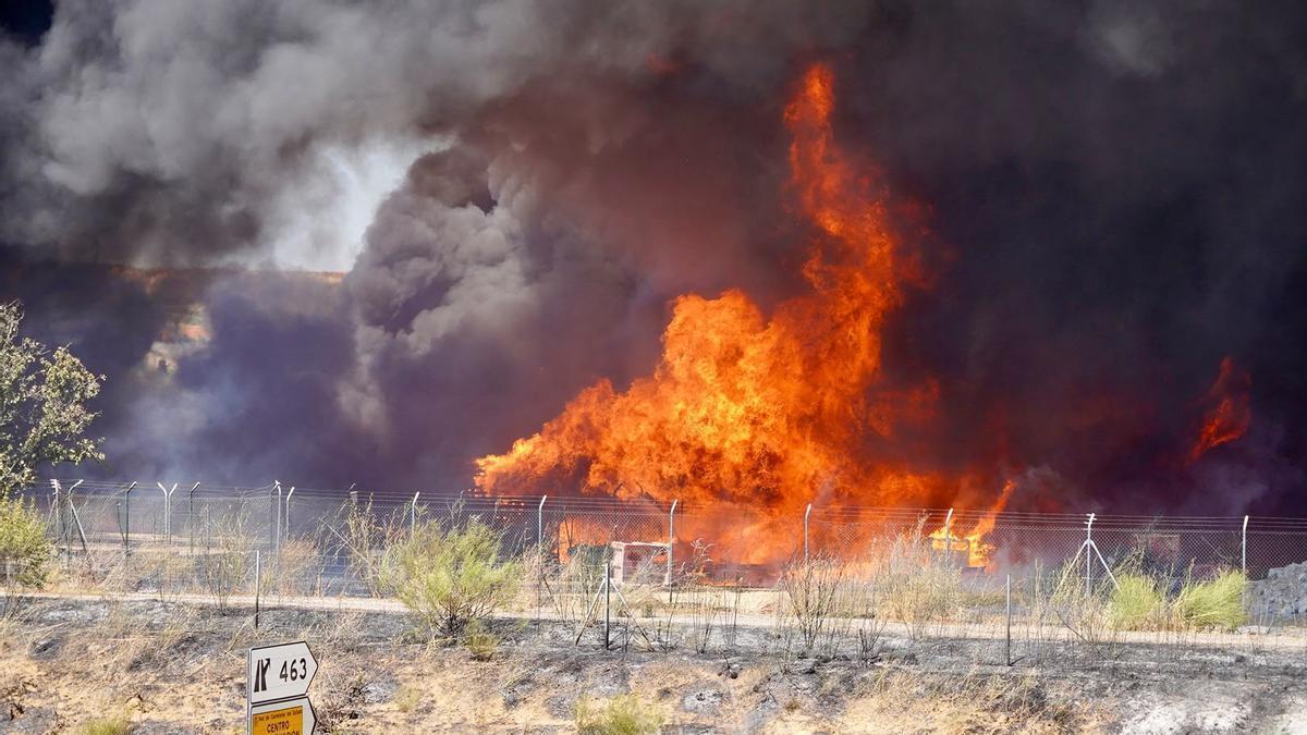 VÍDEO | Así se ve el incendio de Zaresa a 150 metros del foco