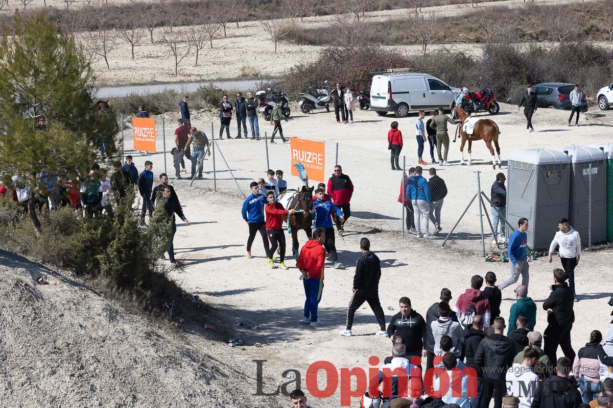 Convivencia Caballos del Vino de la Peña Artesano