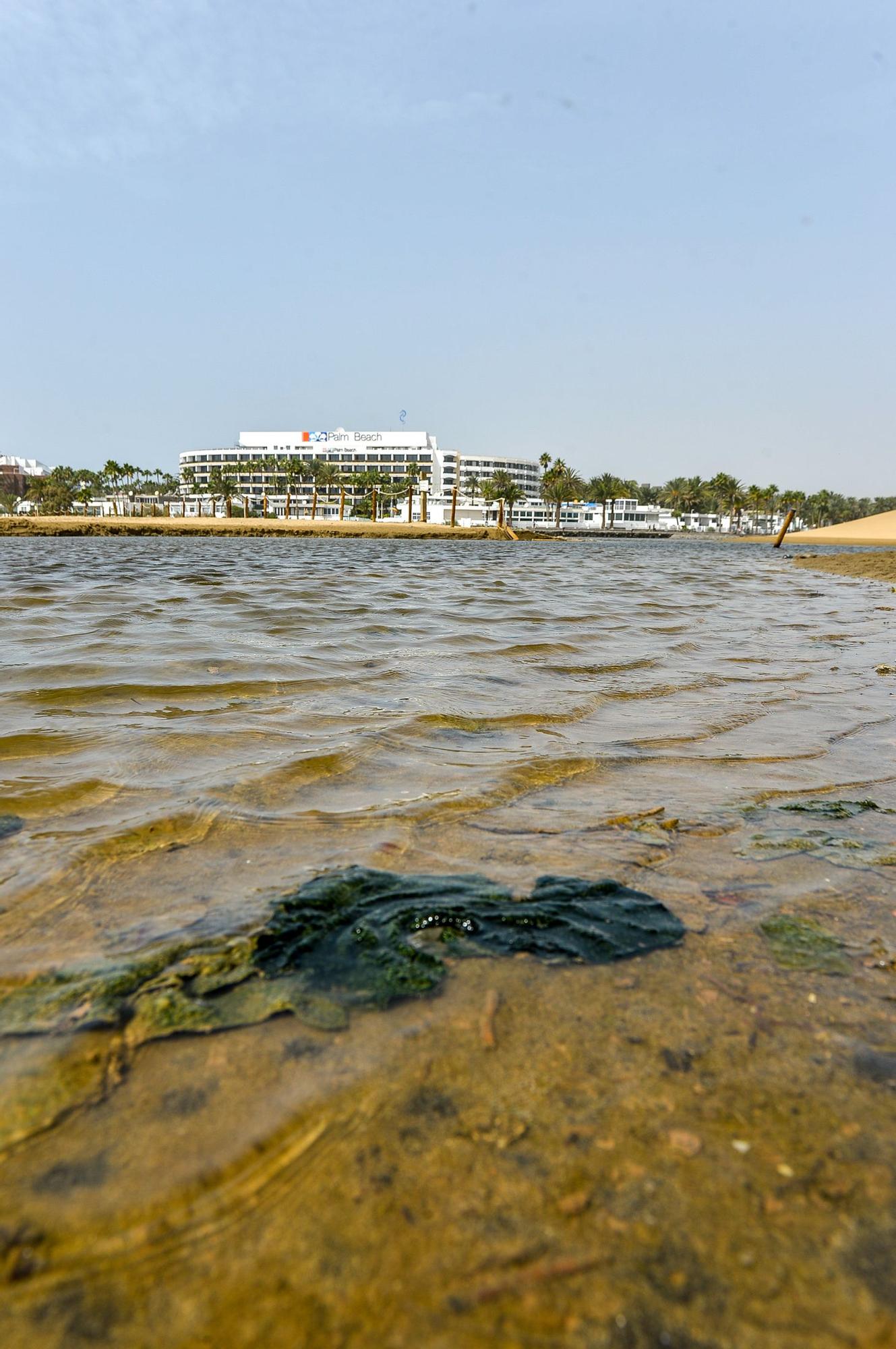 La Charca de Maspalomas después del ciclón Hermine