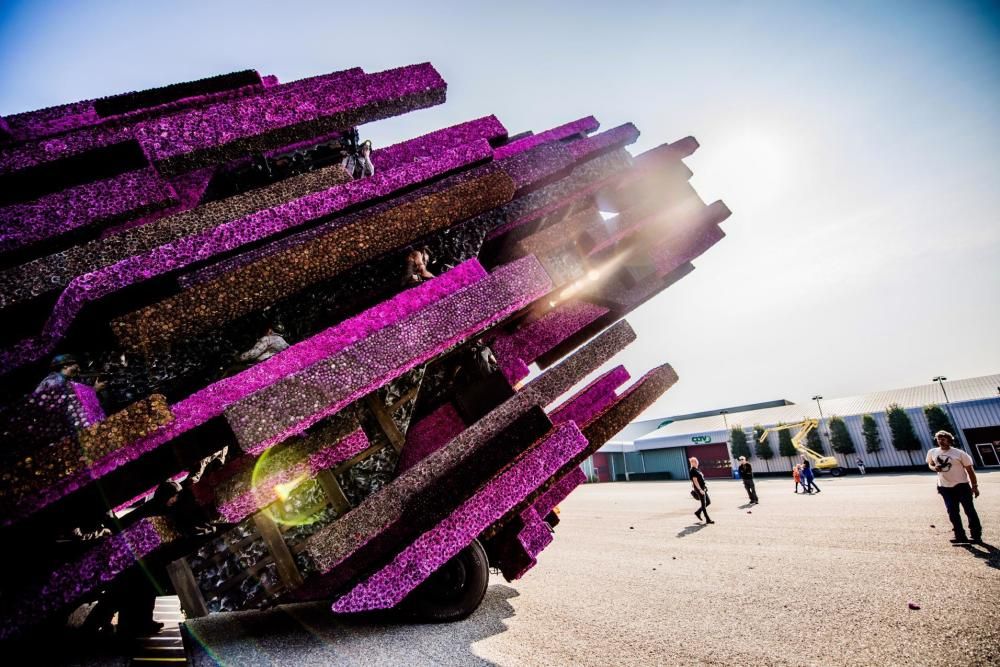 Batalla de Flores holandesa de 2017