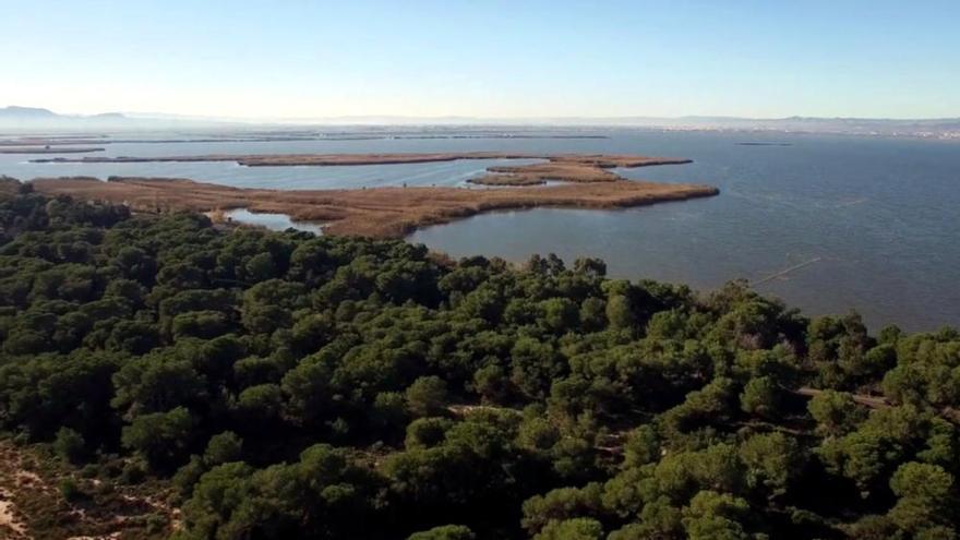 L'Albufera, a vista de dron