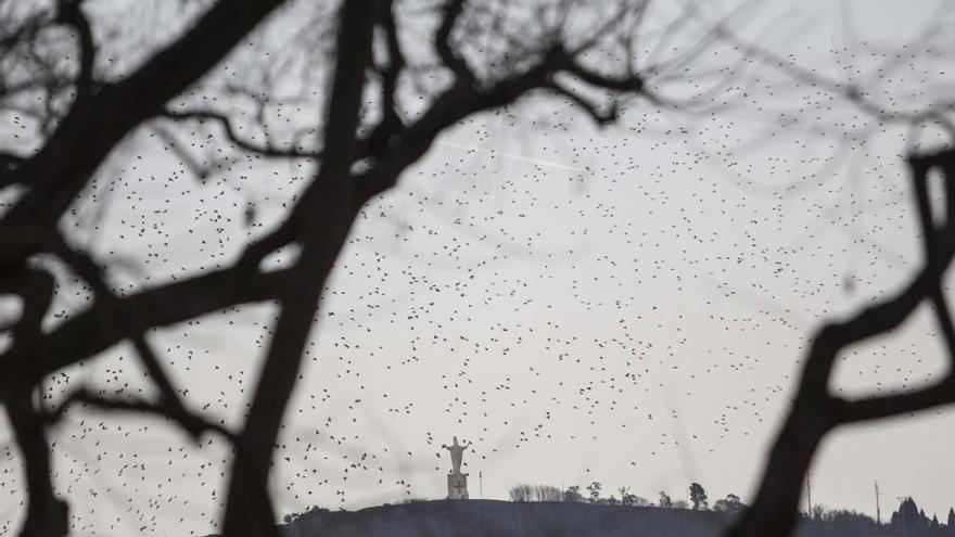 Las 100 fotos que demuestran que el otoño es la mejor época para conocer Asturias