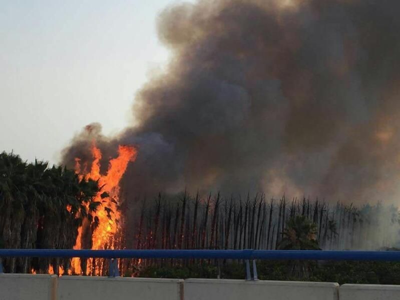 Incendio en Orihuela