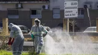 El caso de virus del Nilo de La Rambla sitúa a la localidad en el nivel de riesgo más alto