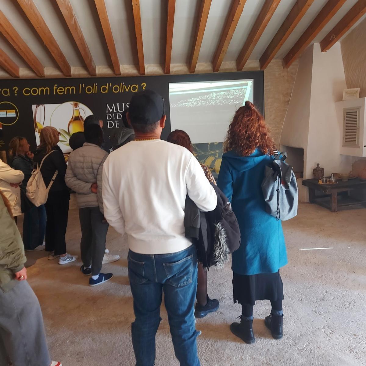 Visitantes contemplan un panel didáctico sobre el aceite, en 2024