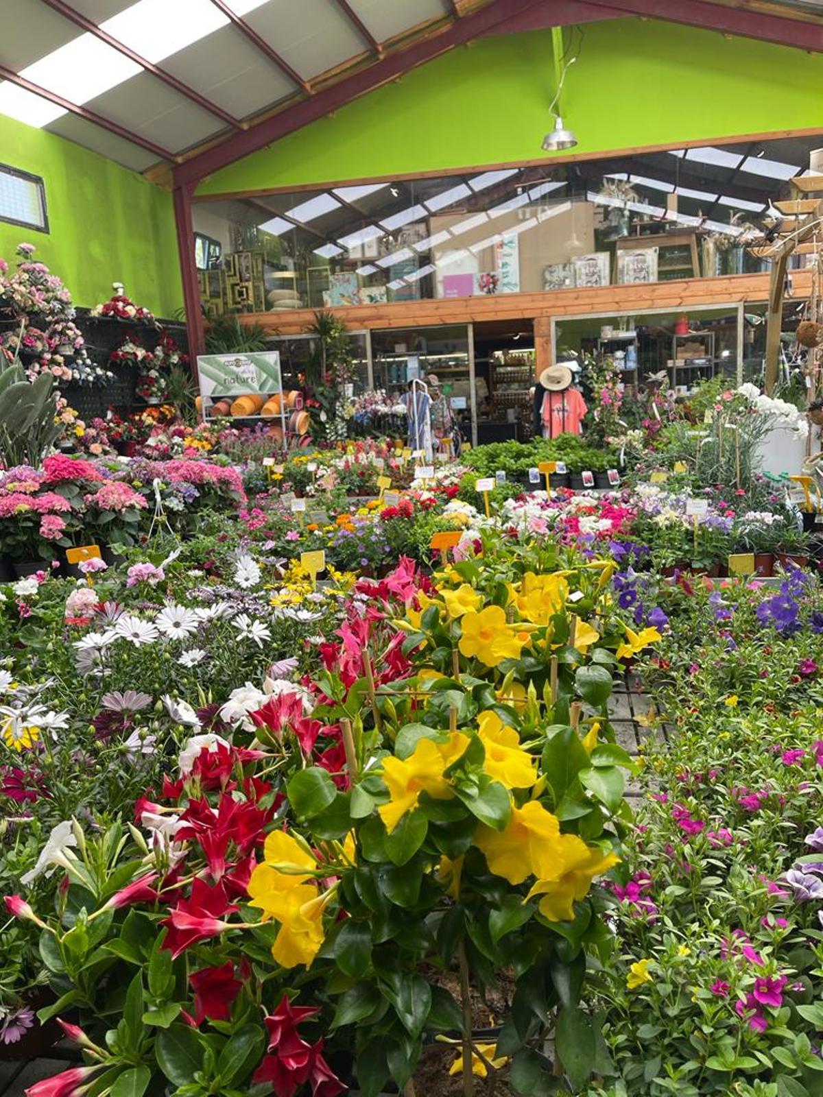 Intalaciones del centro de jardinería