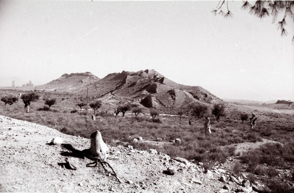 FONTCALEN. 1981. PEDANÍA DE ALICANTE.