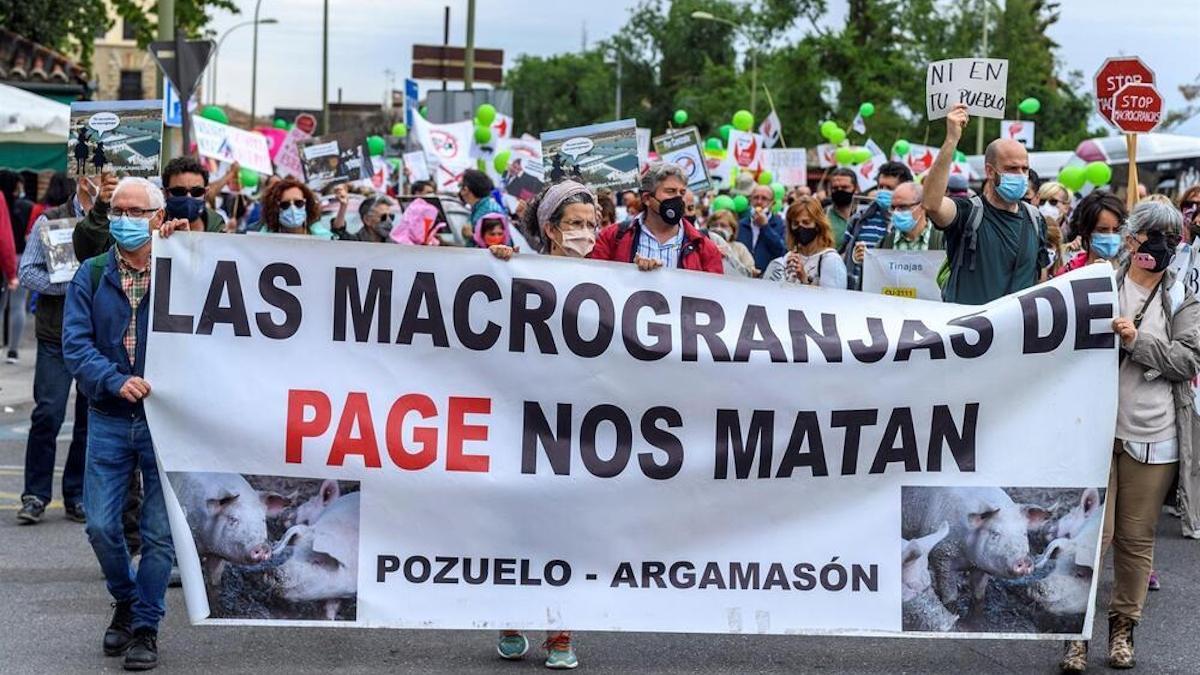 Manifestación contra las macrogranjas en Toledo el pasado mes de mayo