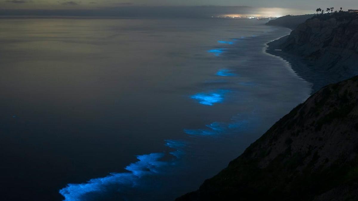 Las olas del mar de la La Jolla Shores se tiñen de azul