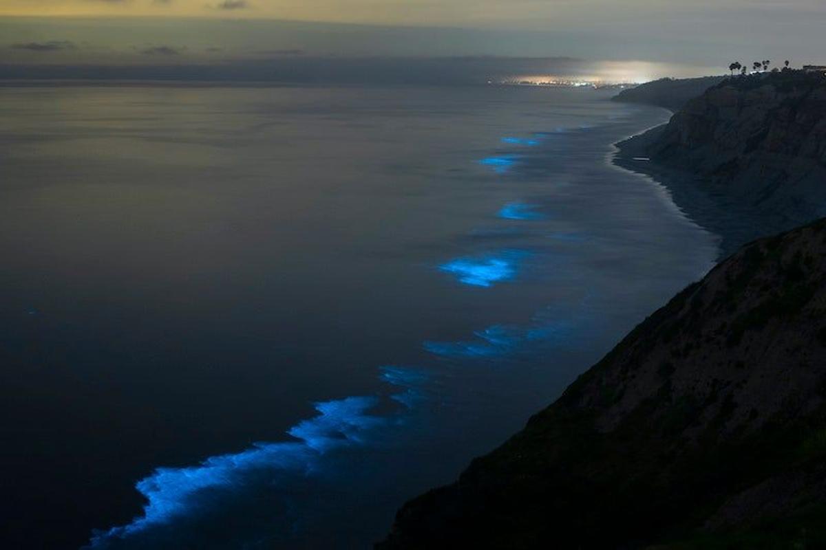 Olas bioluminiscentes en la Jolla Shores, San Diego