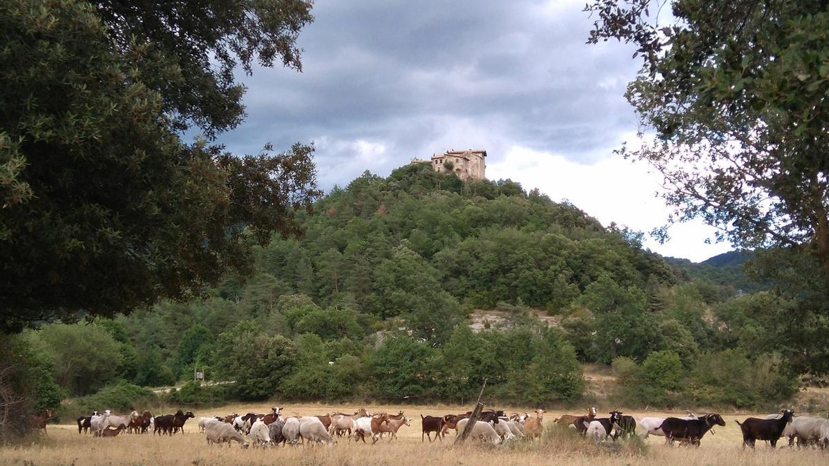 De castillos y monasterios en Ripoll y su comarca