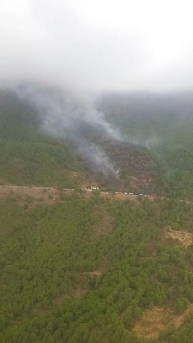 Incendio forestal en Benahavís