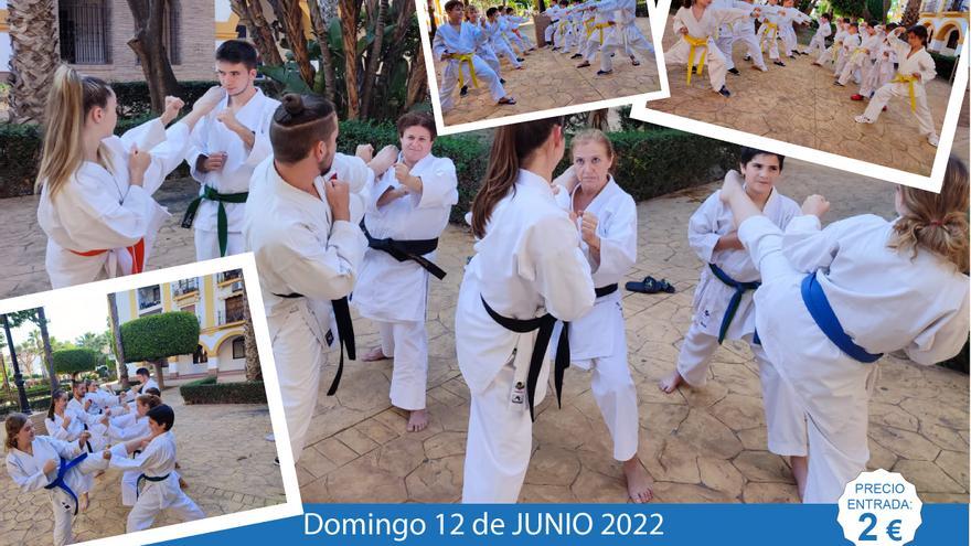 Rincón de la Victoria acoge el I Campeonato de Karate en el Pabellón Municipal