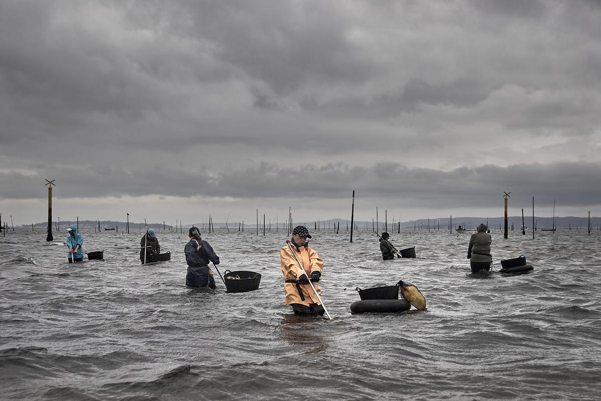 Las "sirenas del Atlántico", en el libro "La mujer y la mar".