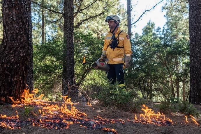 La UME realiza prácticas de prevención de incendios en Gran Canaria