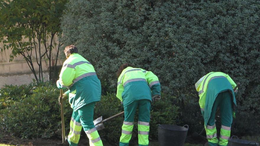 Empleados municipales trabajando en una jardinera, en Ourense / |  IÑAKI OSORIO
