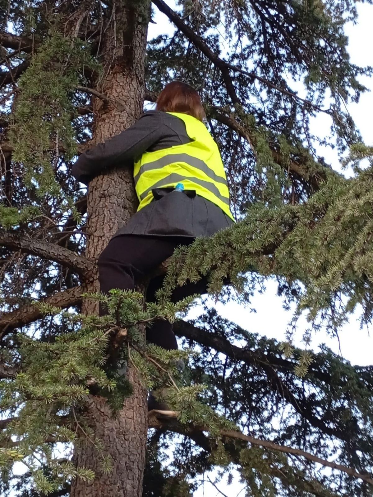 Una vecina subida a un árbol, al que llaman el árbol de Sabela y Mireya, este miércoles en Montecarmelo.
