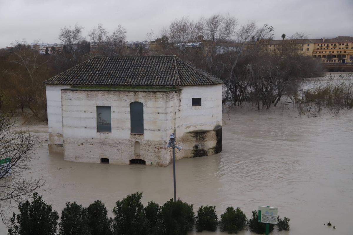 El río Guadalquivir, en umbral rojo a su paso por la capital