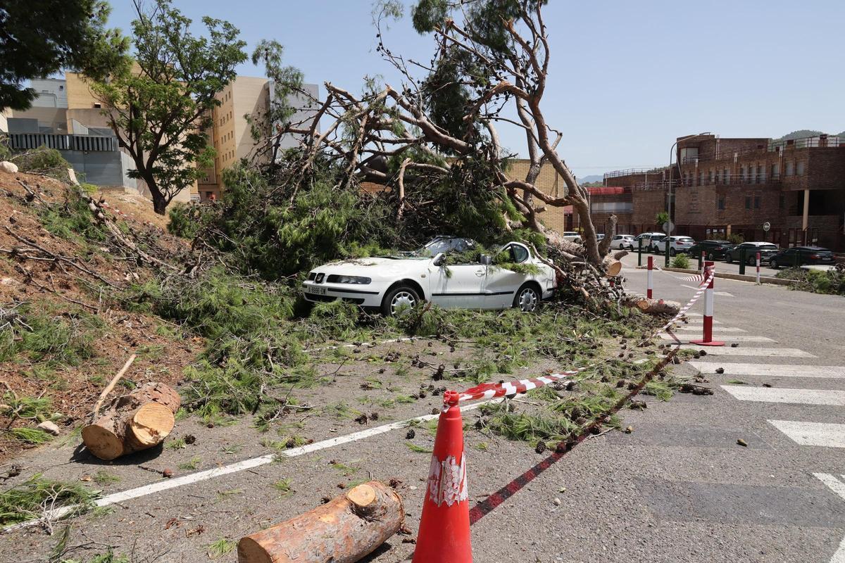 Imágenes del día después en Alcoy tras el temporal