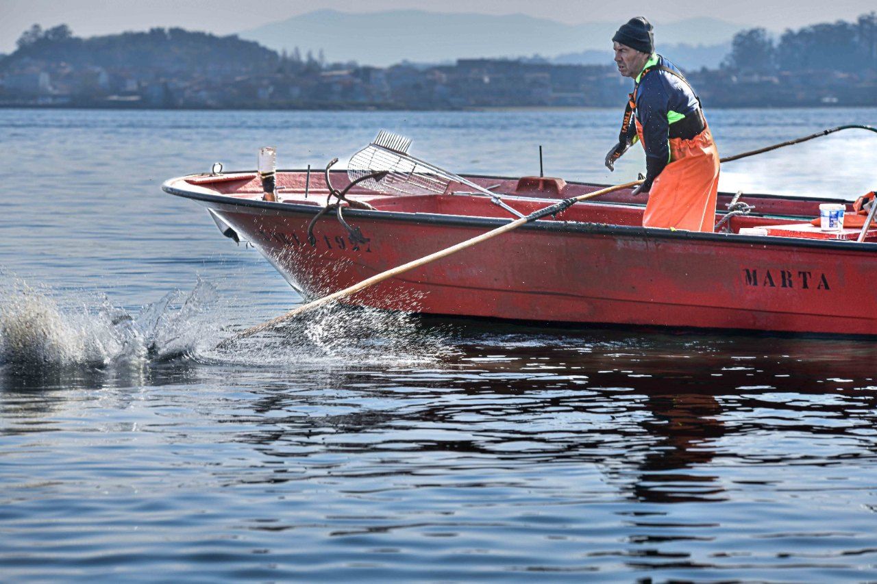 Mariscadores a flote (rañeiros) en el entorno de A Toxa (O Grove).