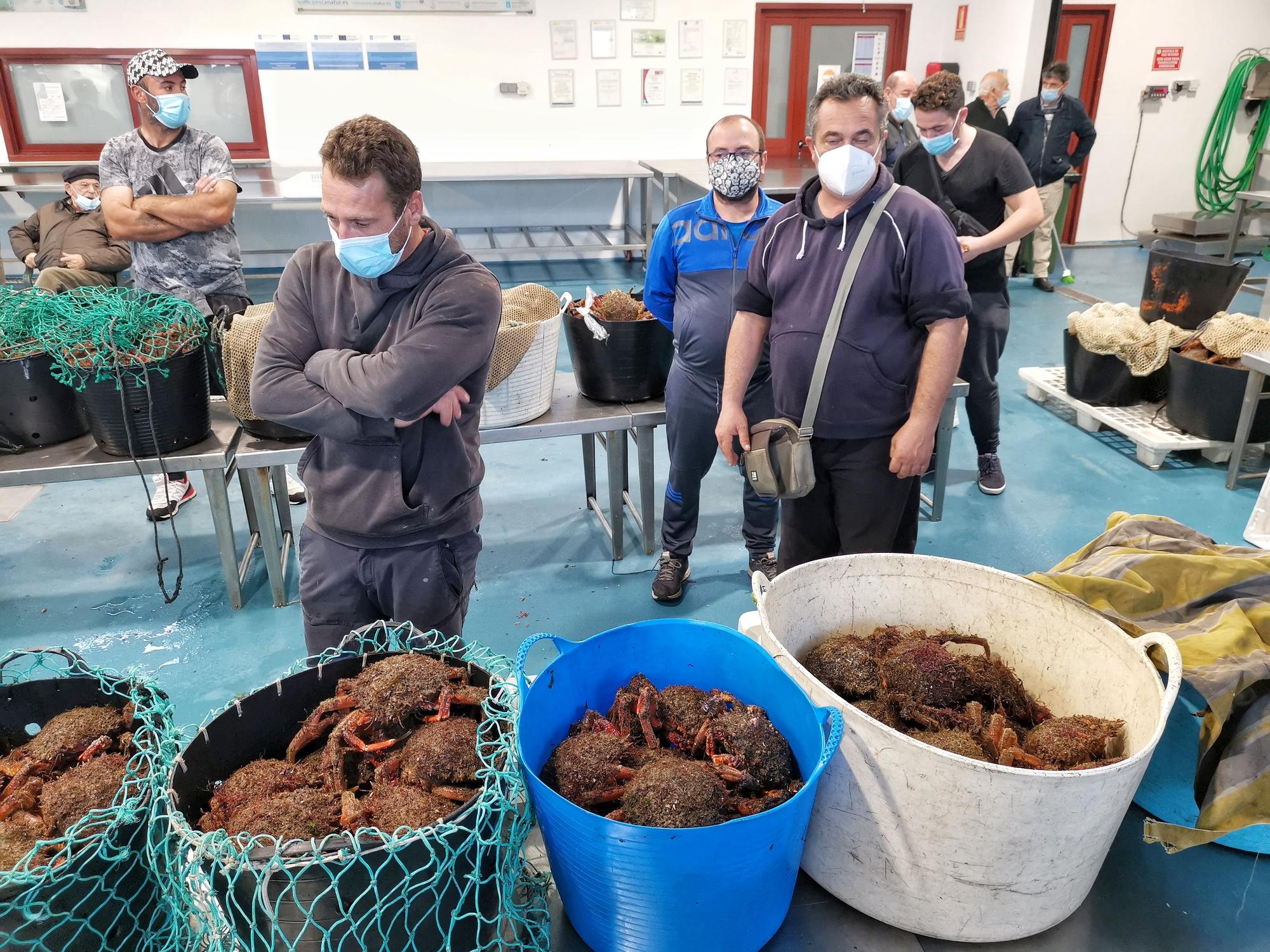 La campaña del "marisco rey", la centolla, arranca en Cangas y Bueu