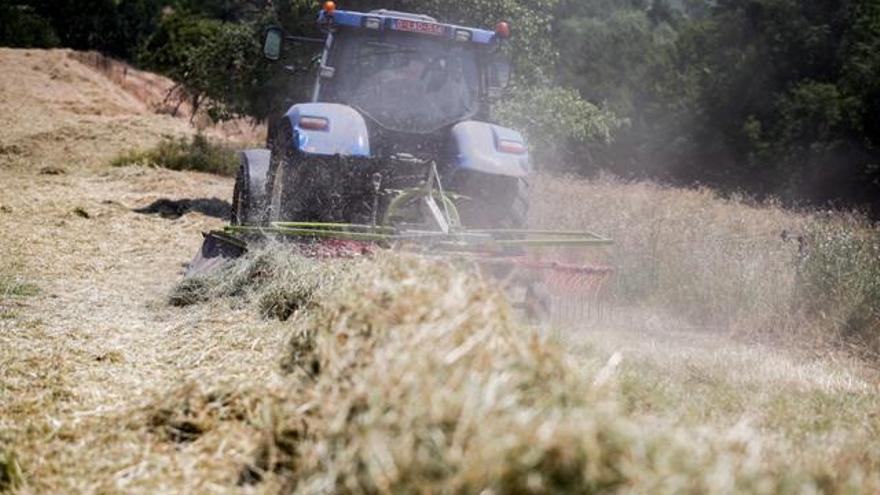 El campo decide si hay convenio