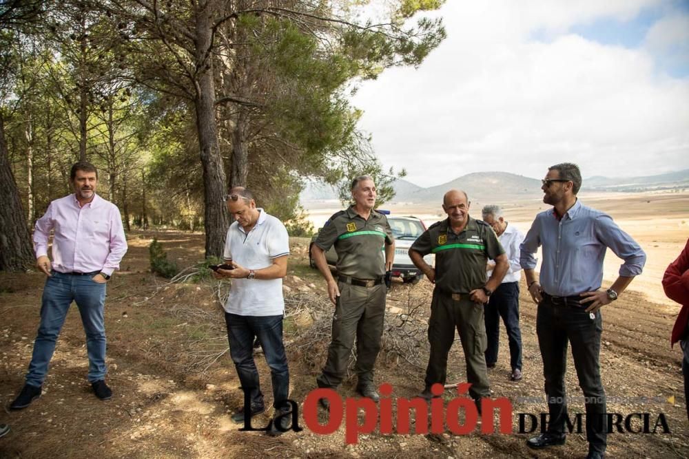 Liberan un Buitre Leonado en la Sierra de Mojantes