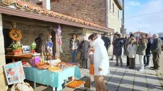 San Vitero, Domez, Valer mantienen la bendición de animales y ofrendas a San Antonio