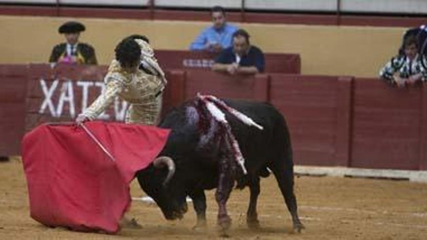 Xàtiva suprime las corridas de toros en un referéndum con 79 votos de diferencia