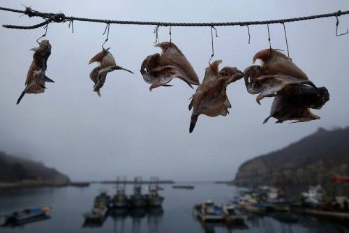 Fish hang from hooks in small fishing port on island of Baengnyeong, which lies on South Korean side of Northern Limit Line, in Yellow Sea