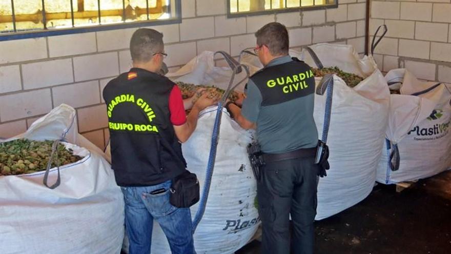 Detenidas siete personas por el robo y venta de 13 toneladas de almendras en la provincia de Badajoz