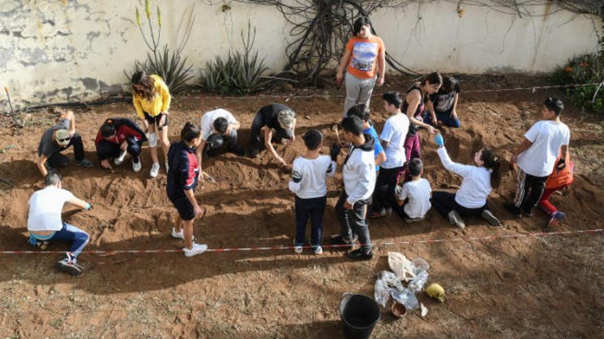 Un grupo de escolares participando en la iniciativa.