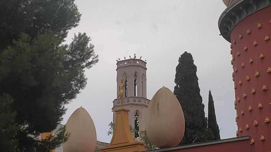 Un estol de cigonyes migradores fa parada a Figueres i els pobles dels voltants