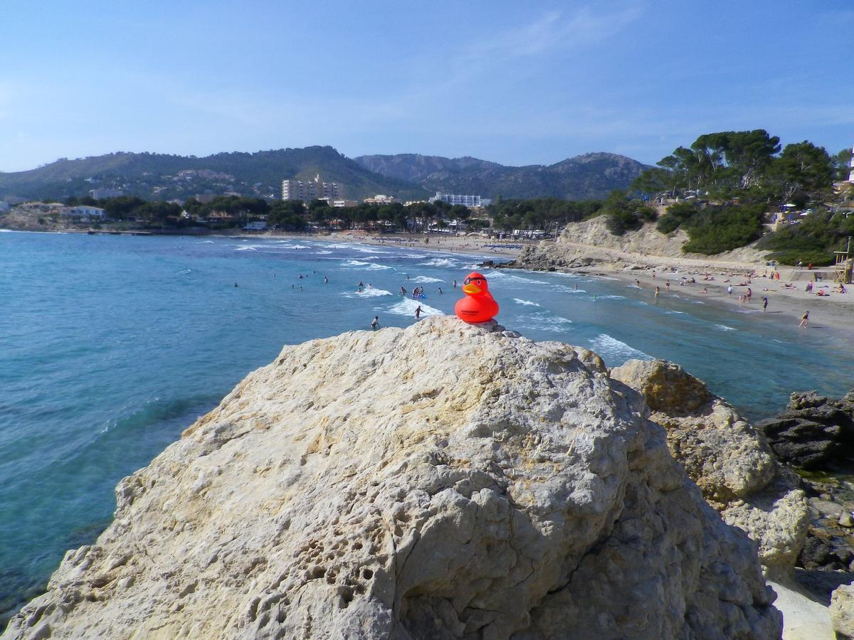 Die "Goodbye Deutschland"-Auswanderer Sascha und Kathrin Thielen sagen 'danke': Eindrücke aus 13 Jahren "Red Rubber Duck" in Peguera