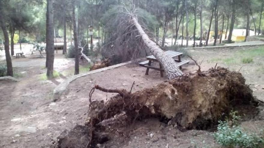 El mercurio cae 14 grados en el interior y el viento paraliza los parques eólicos