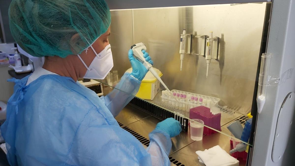 Una profesional del servicio de Microbiología del HUC procesa una prueba PCR