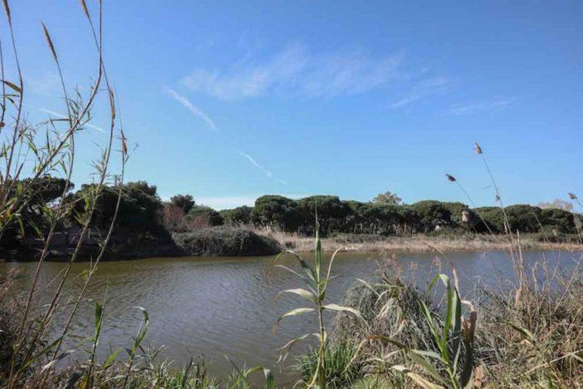 Gavà proposa descobrir l’estany de la Murtra en una ruta a peu