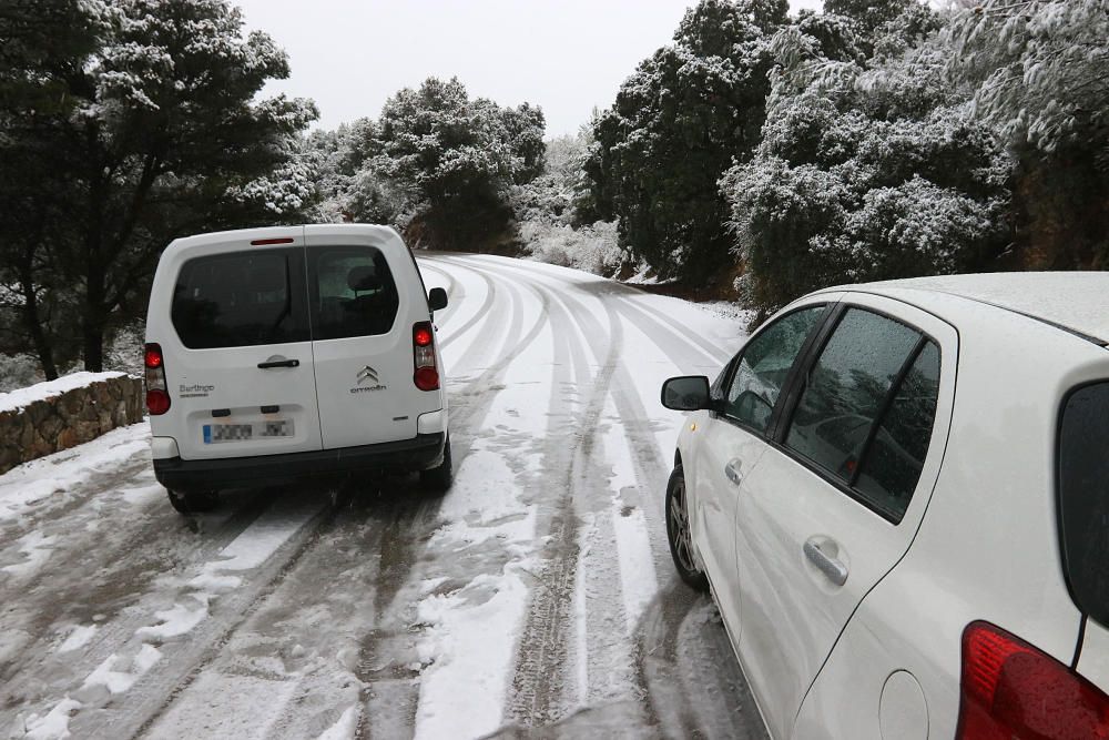 Las primeras nevadas llegan al Puerto del León, en los Montes de Málaga, que se sitúa a 900 metros de altura