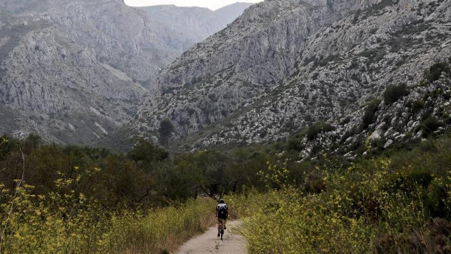 El Consell alerta de que hay 72 municipios en la Comunidad en riesgo de desaparición