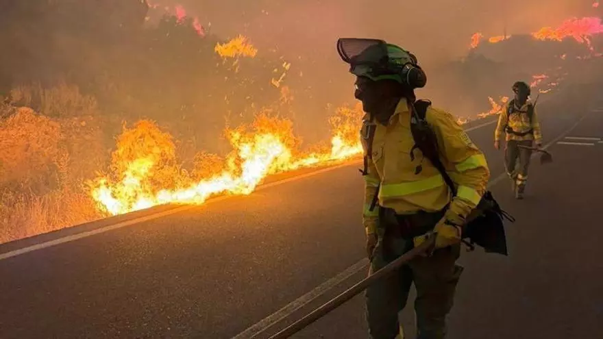La caída de un poste en una cuneta, la posible causa del incendio de Los Gallardos (Almería) que deja más de 3.000 hectáreas calcinadas